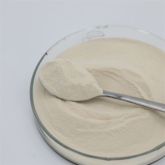 Natural Organic Kelp Extract Kelp Protein Water-soluble Seaweed Fertilizer